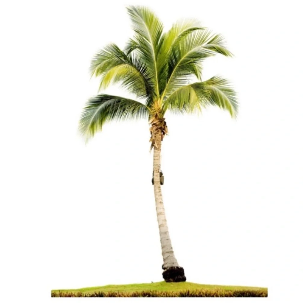 Luau Costume Set Grass Skirt Tropical Hawaiian Party Tiki Bar Island Decorations